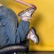 Кросівки жіночі бежеві LEGIT, 39
