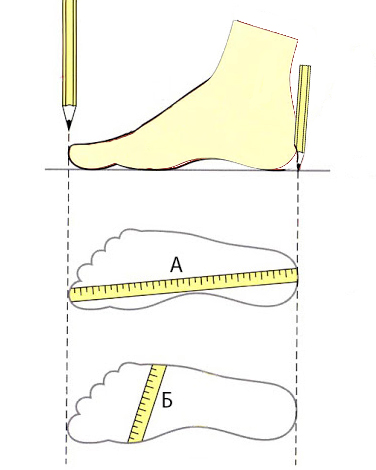 Таблиця розмірів - LEGIT — взуття та аксесуари